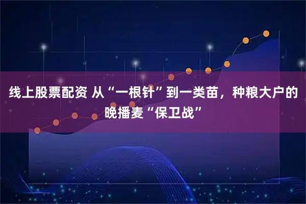 线上股票配资 从“一根针”到一类苗，种粮大户的晚播麦“保卫战”